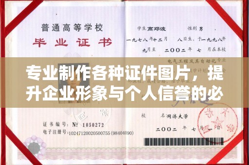 南岔专业制作各种证件图片，提升企业形象与个人信誉的必备之选